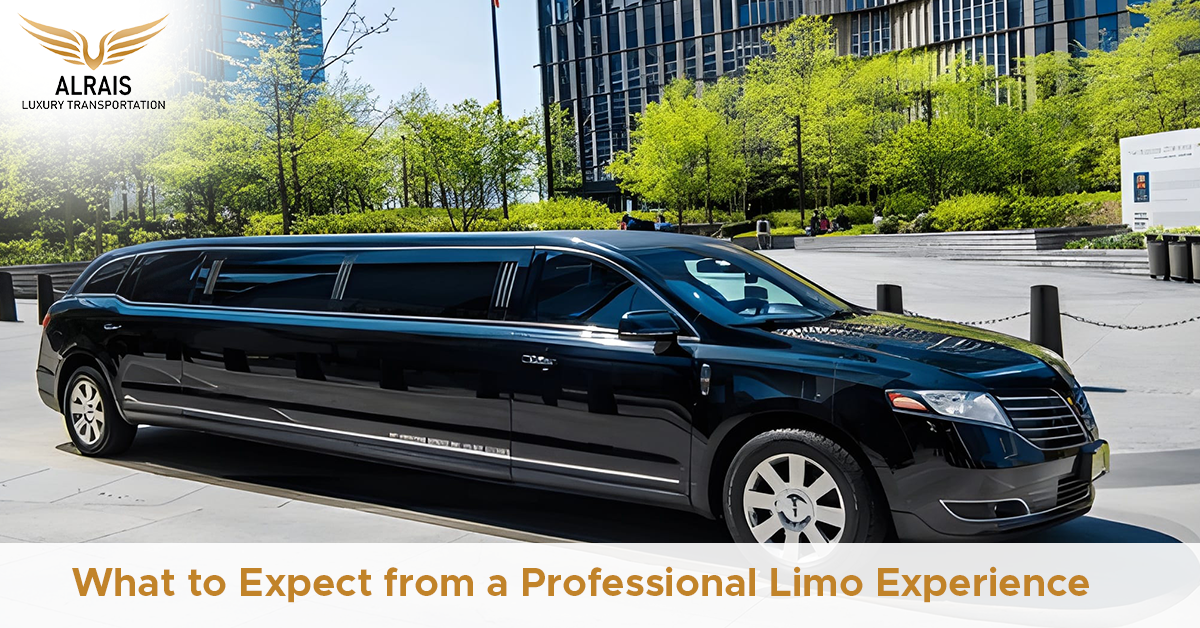 What to Expect from a Professional Limo Experience