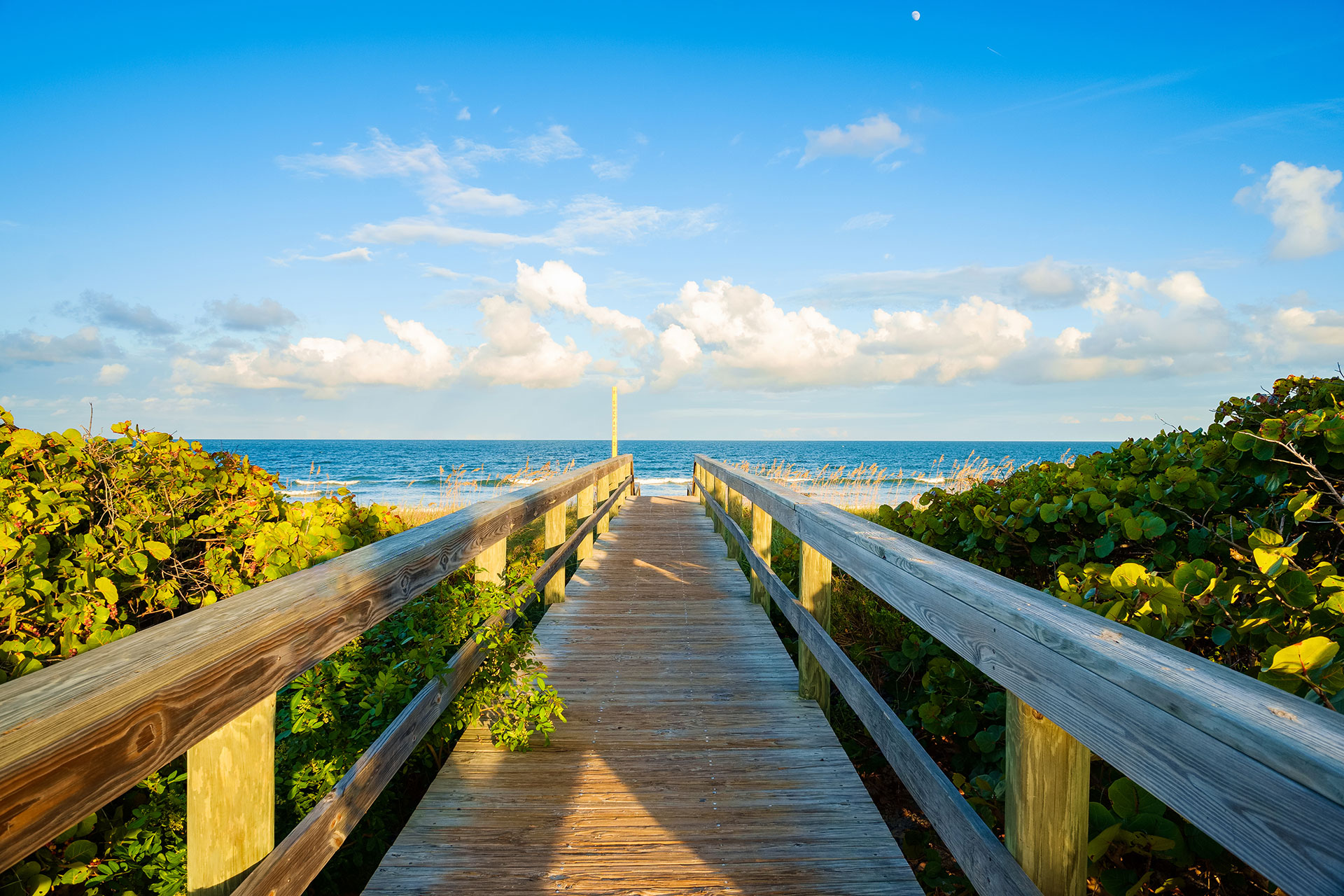 Waterfront boardwalk and coastal scenery